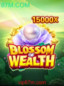 BlossomofWealth: Uma Introdução Completa ao Mundo de 87M.COM