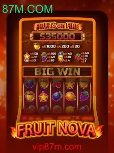 Explorando o Mundo de FruitNova: Regras e Destaques do Jogo