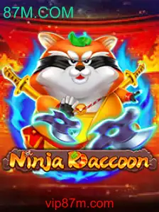 Desvendando o Mundo de NinjaRaccoon: Uma Introdução e Suas Regras